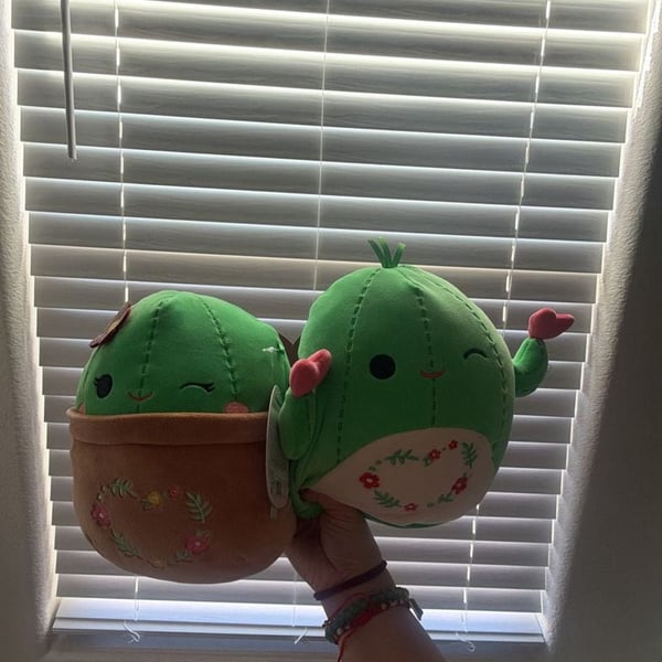 Squishmallow Shadi And Marcellus 5 Inch Cactus