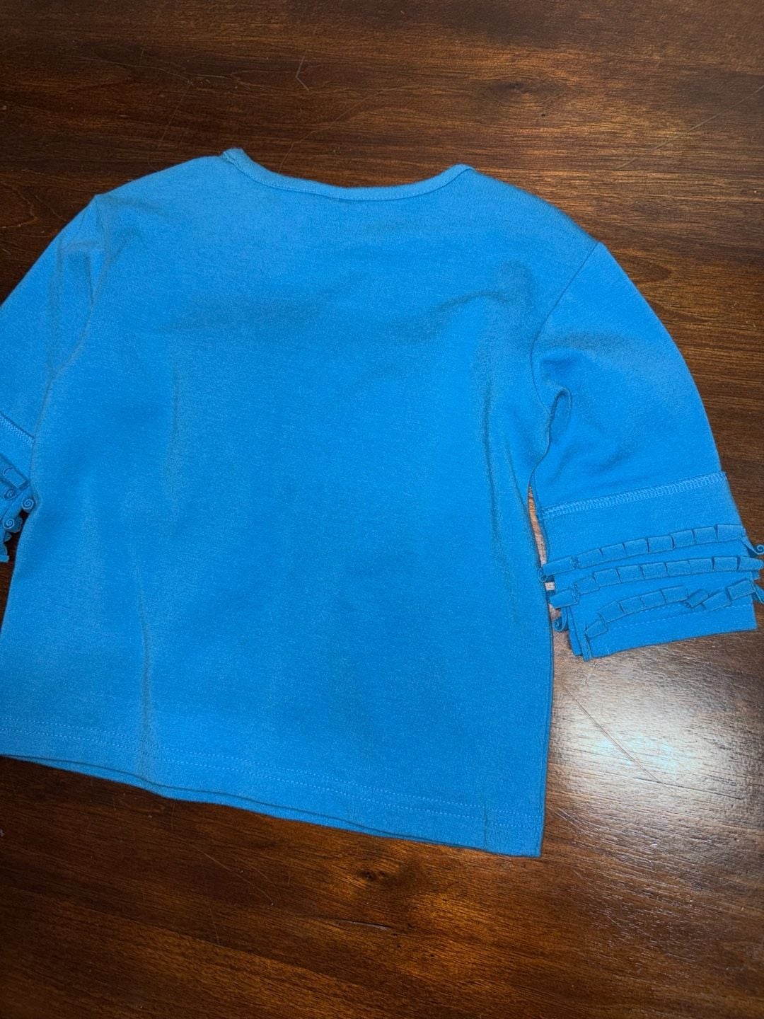 Starting Out Butterfly Shirt Size 12M Blue Long Sleeve Ruffle 8