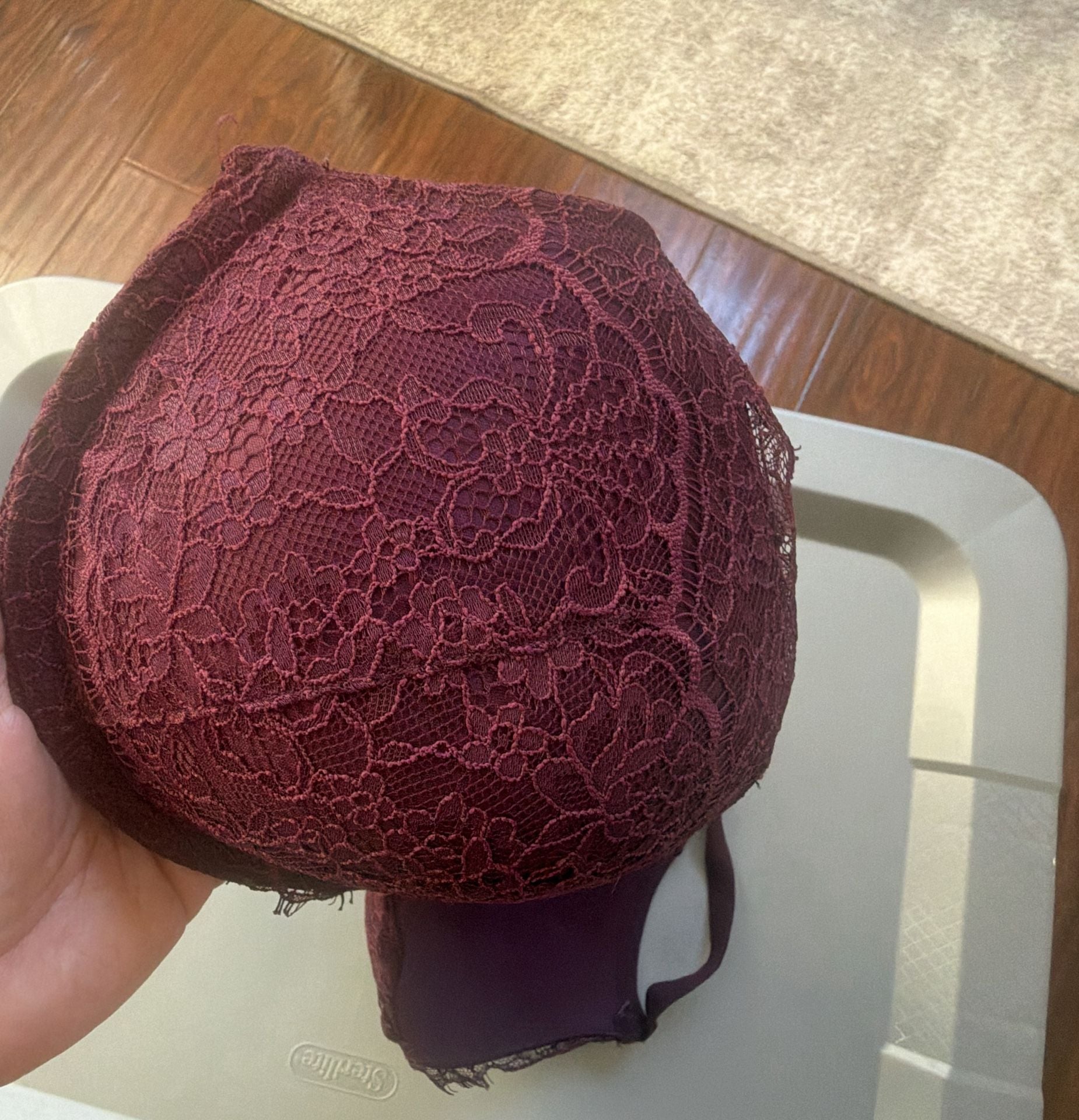 Victoria's Secret Dream Angels Push Up Bra Size 34DD Burgundy Lace 3
