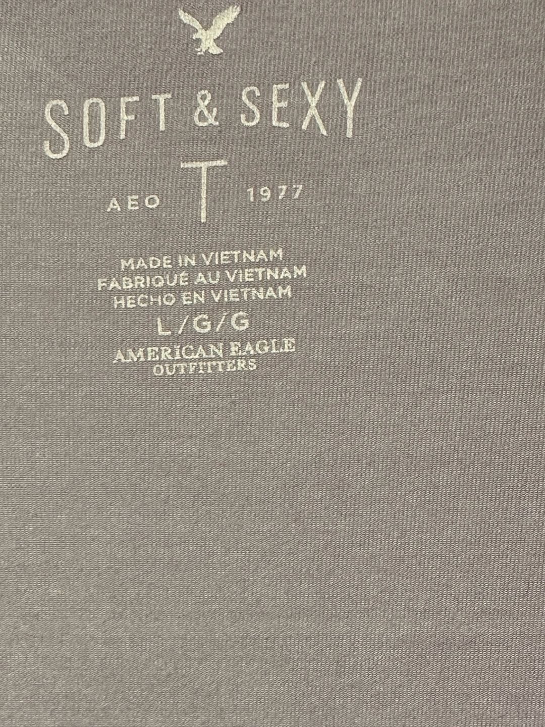American Eagle Soft and Sexy T-Shirt Size L Purple Lot of 2 4