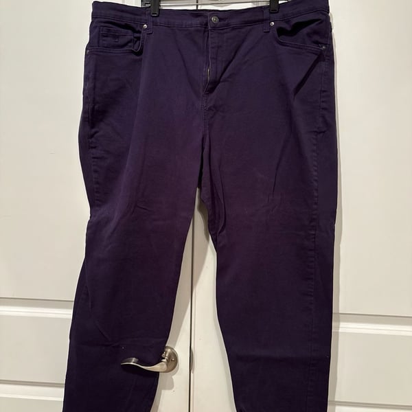Gloria Vanderbilt Jeans Size 24W Purple Denim Pants