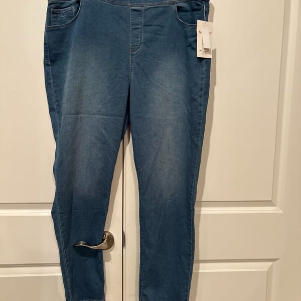 Gloria Vanderbilt Amanda Pull On Jeans Size 2X Borgo Blue Denim New
