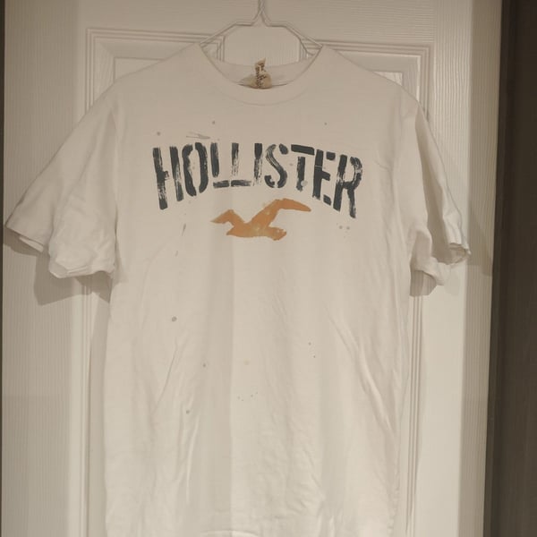Hollister Graphic T-Shirt Size XL White Short Sleeve Logo Seagull