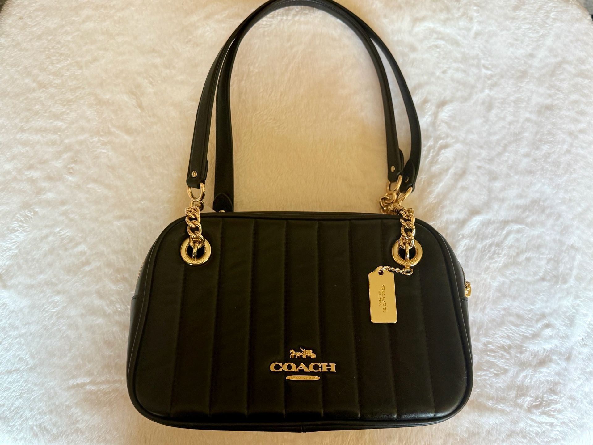 Coach leather puffy crossbody chain bag and 4