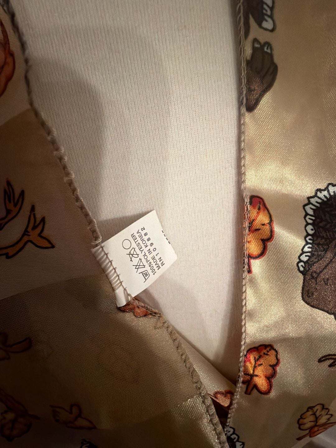 Vintage Thanksgiving Turkey and Fall Leaves Scarf Cream Satin 6