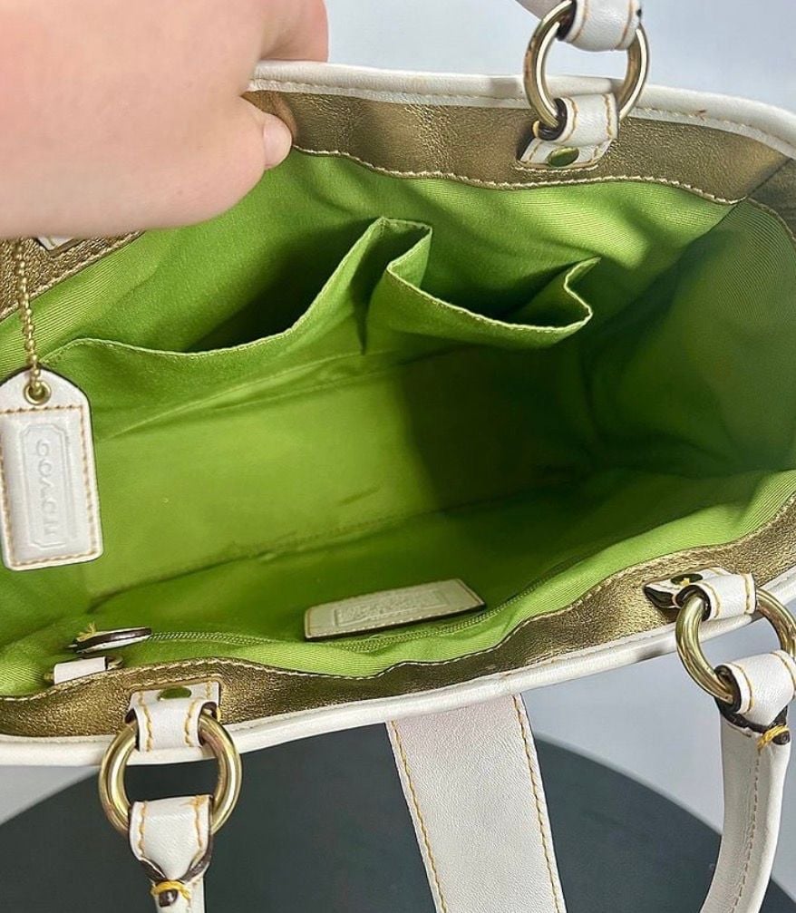 Coach Hamptons Straw Leaf Ladybug Tote Bag 6