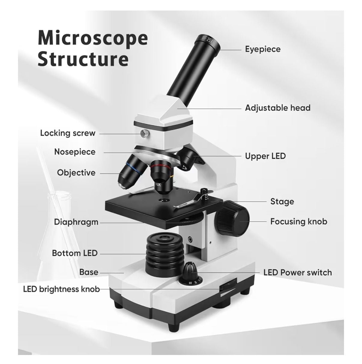 My First Lab Duo Scope MFL-20 Compound Microscope 6