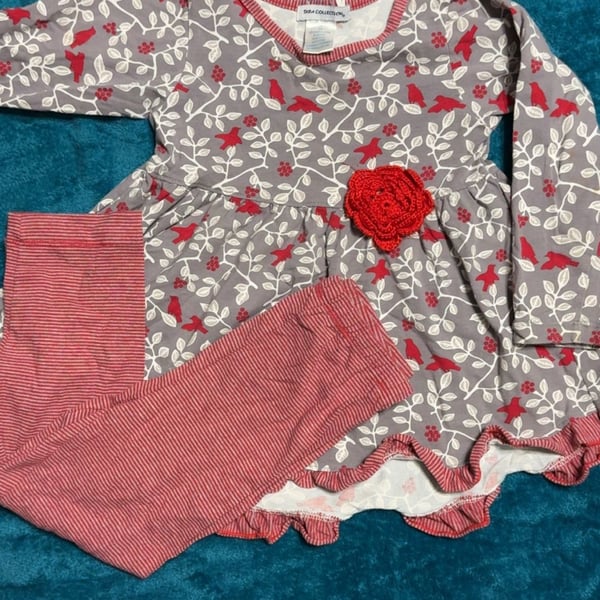 Tara Collection Tunic and Legging Set Size 4T/4 Gray Red Birds