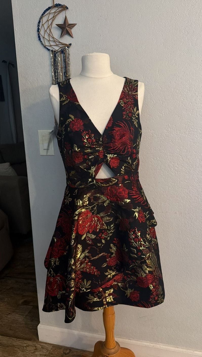 Rachel Roy Binx Dress Sz 2 Black Red Gold Floral Brocade 2