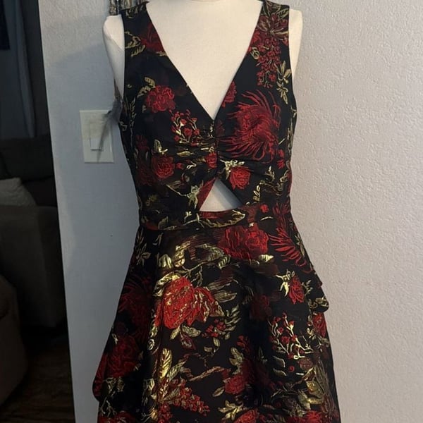 Rachel Roy Binx Dress Sz 2 Black Red Gold Floral Brocade