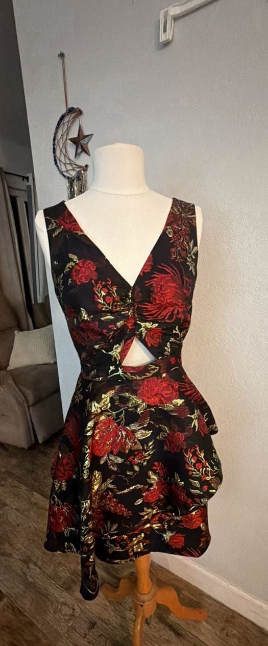 Rachel Roy Binx Dress Sz 2 Black Red Gold Floral Brocade 3