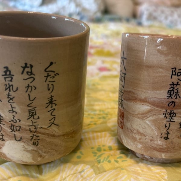 NWOT Japanese Teacups Yunomi Japanese Kanji Poem Set Of 2