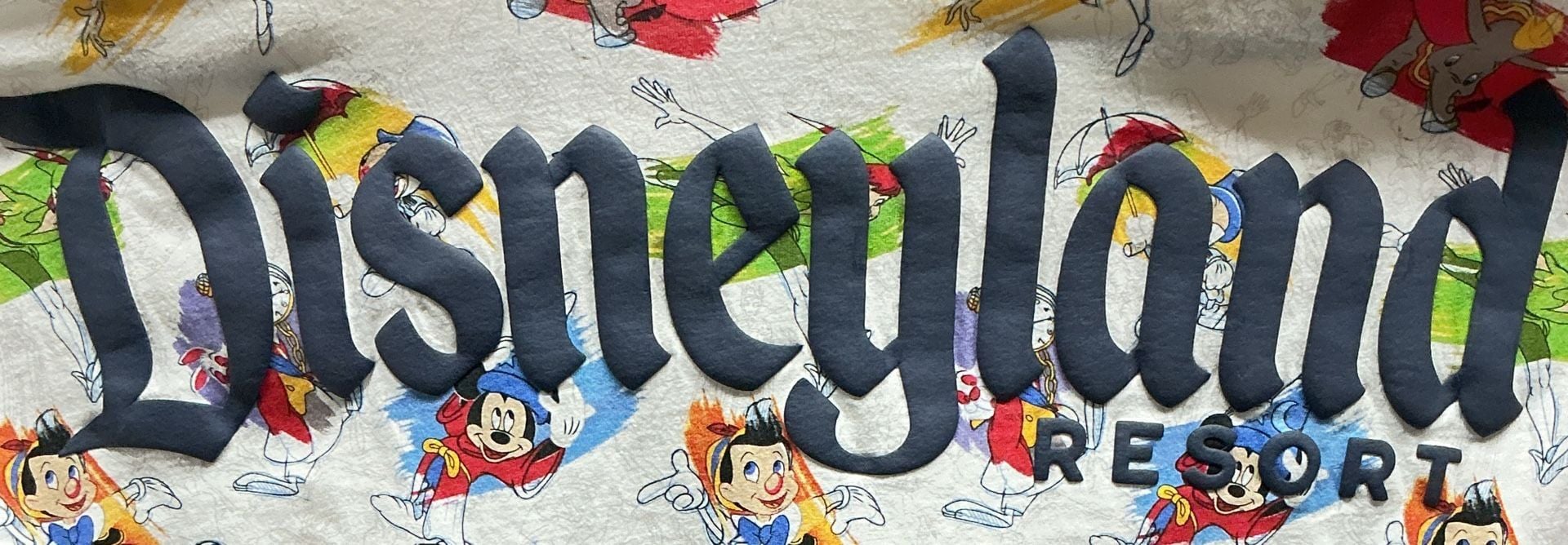 Spirit Jersey Disneyland Ink & Paint Size XL Long Sleeve Shirt 3