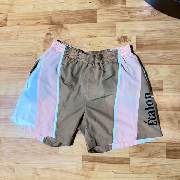 Etalon by Steve Men’s Colorblock Swim Shorts Brown Pink Blue Polyester