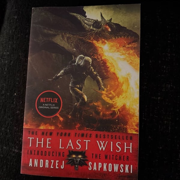 Orbit The Last Wish The Witcher Andrzej Sapkowski Paperback Book