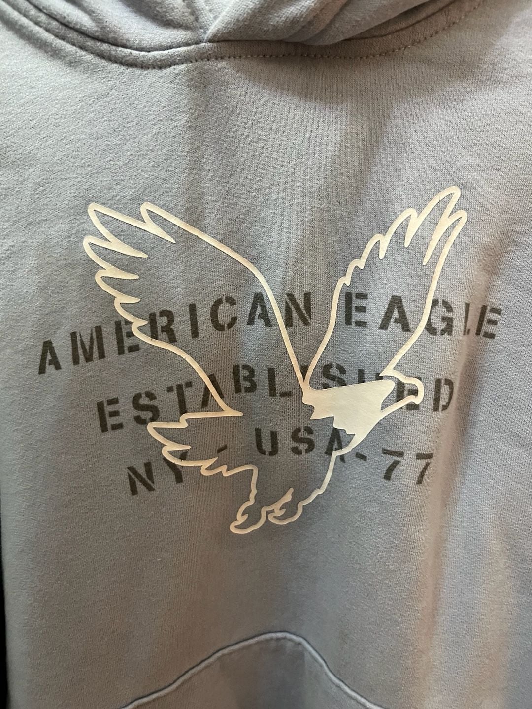 American Eagle Super Soft Graphic Pullover Hoodie Size M Blue 3