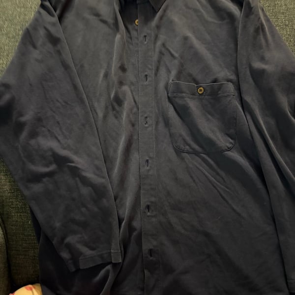 Patagonia Long Sleeve Button Down Shirt Size L Blue Organic Cotton