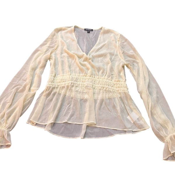 Express Chiffon Blouse Size M