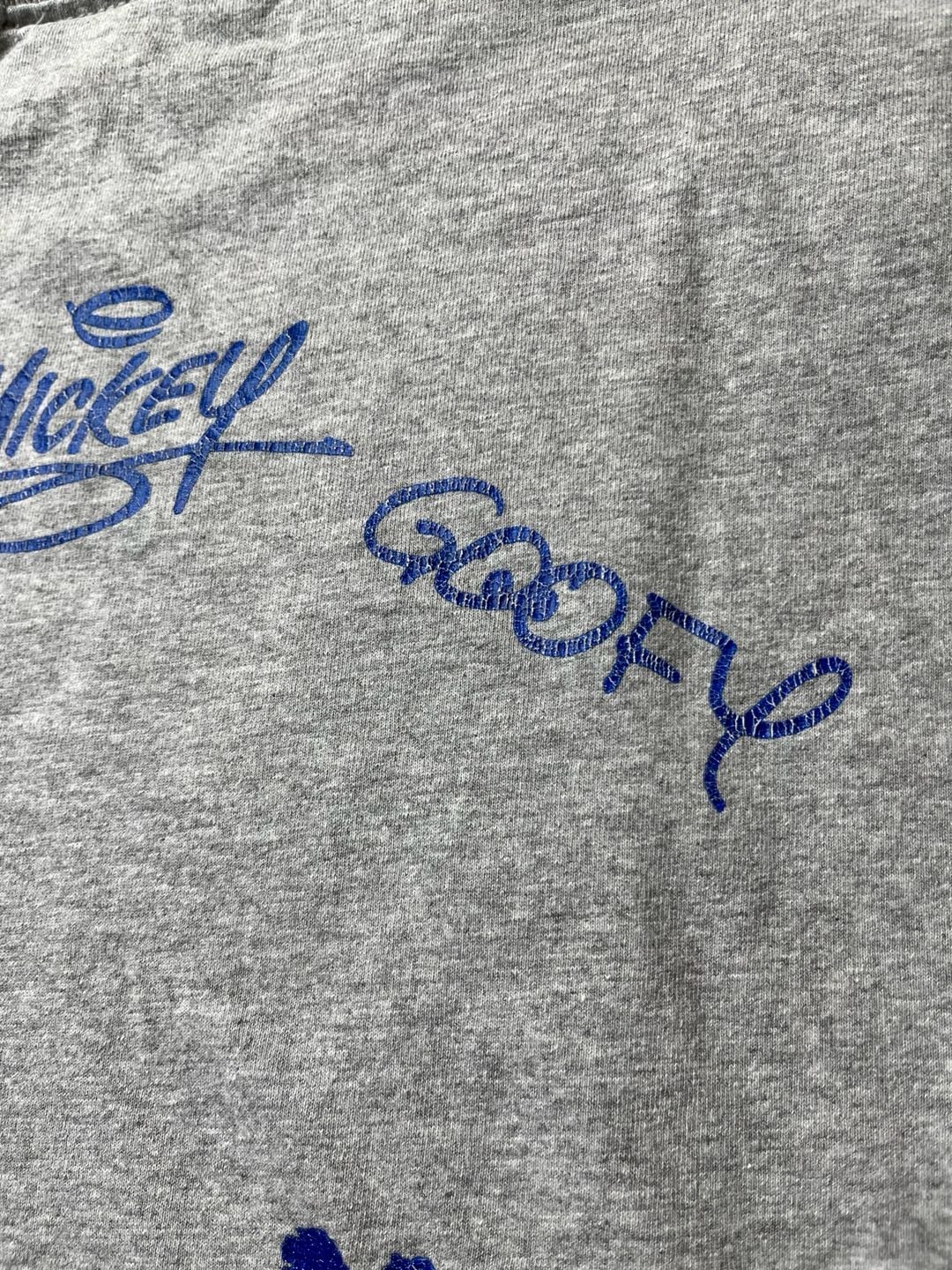 Disney Cruise Line Characters Graphic T-Shirt Gray 5