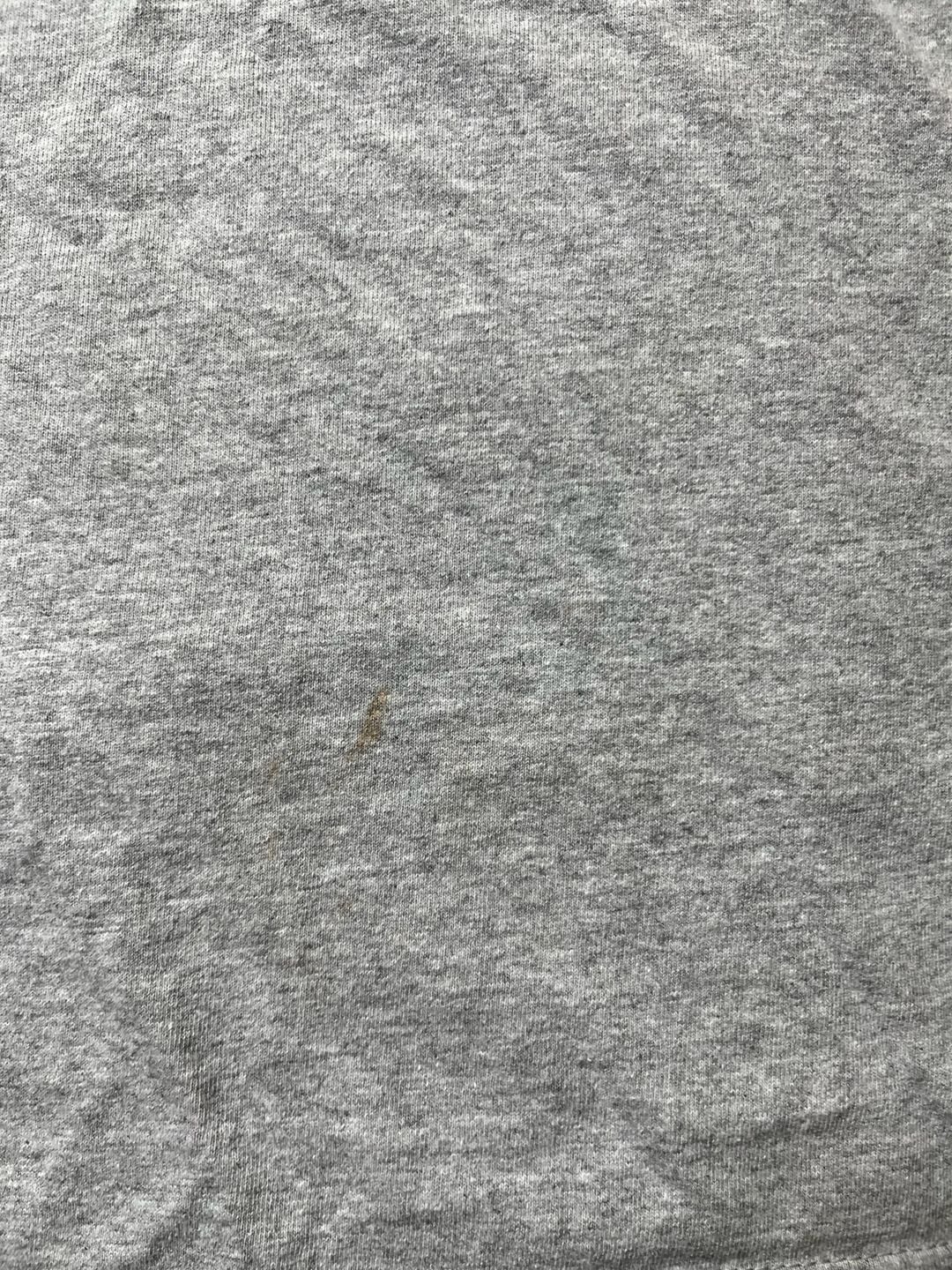 Disney Cruise Line Characters Graphic T-Shirt Gray 11