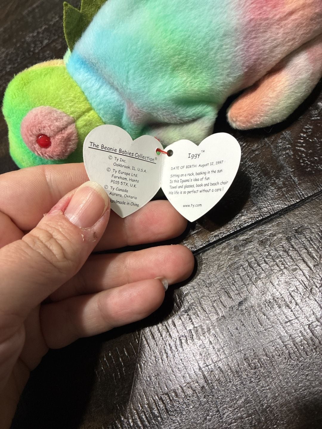 Ty Beanie Babies Iggy The Iguana 1997 Plush Stuffed Animal Toy Mint With Tags 3