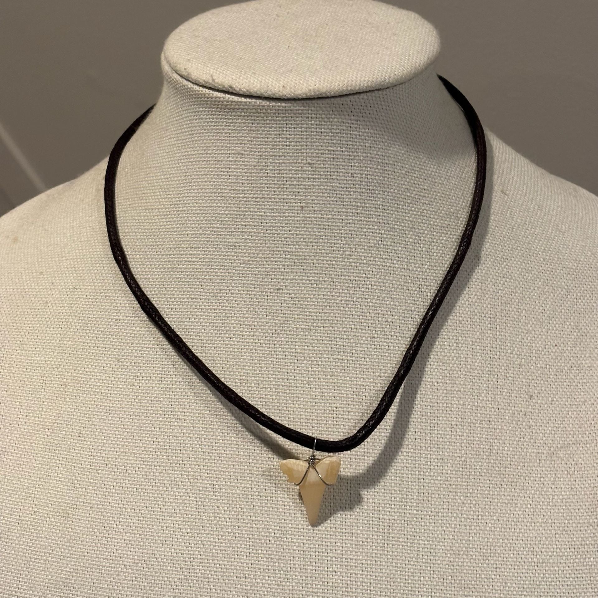 Baja Billy's Shark Tooth Leather Necklace 2