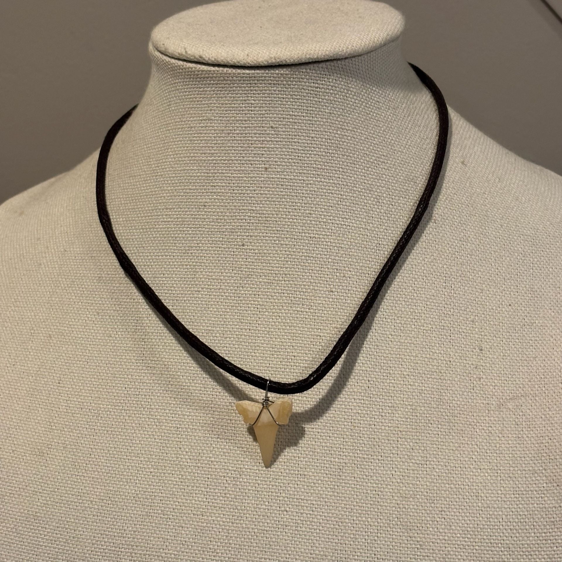 Baja Billy's Shark Tooth Leather Necklace 3