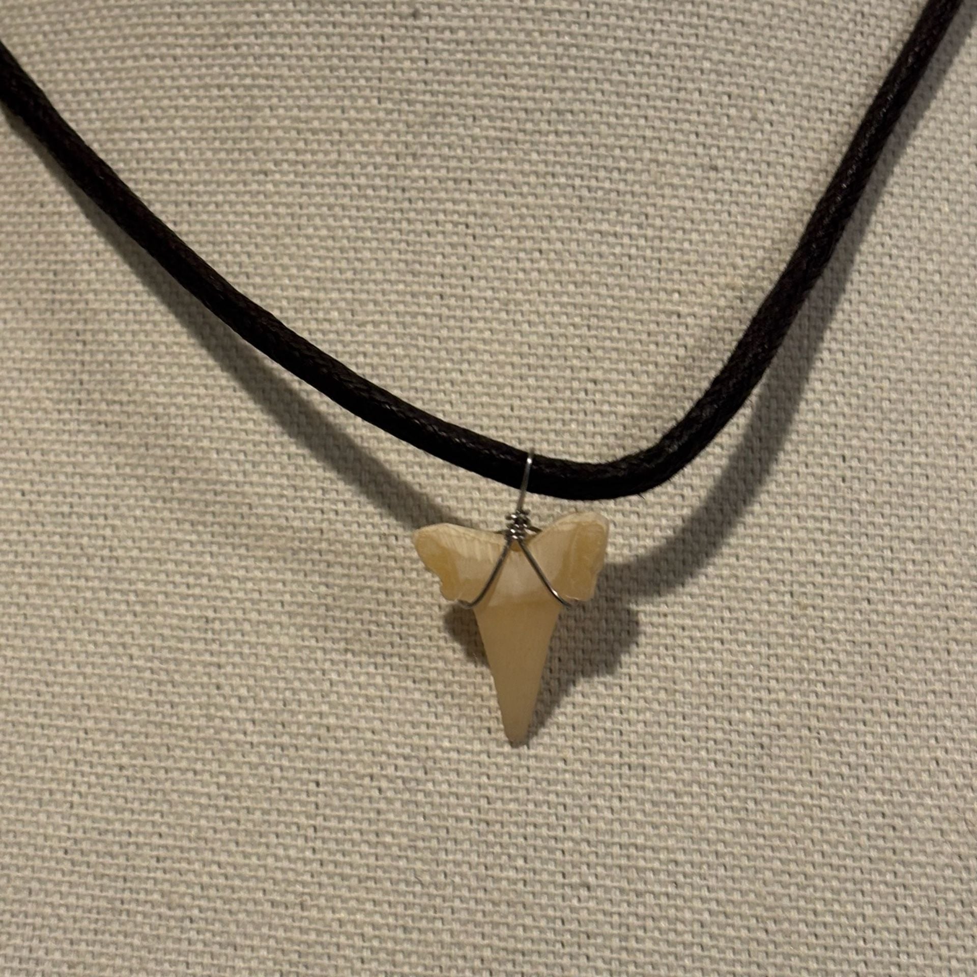 Baja Billy's Shark Tooth Leather Necklace 4