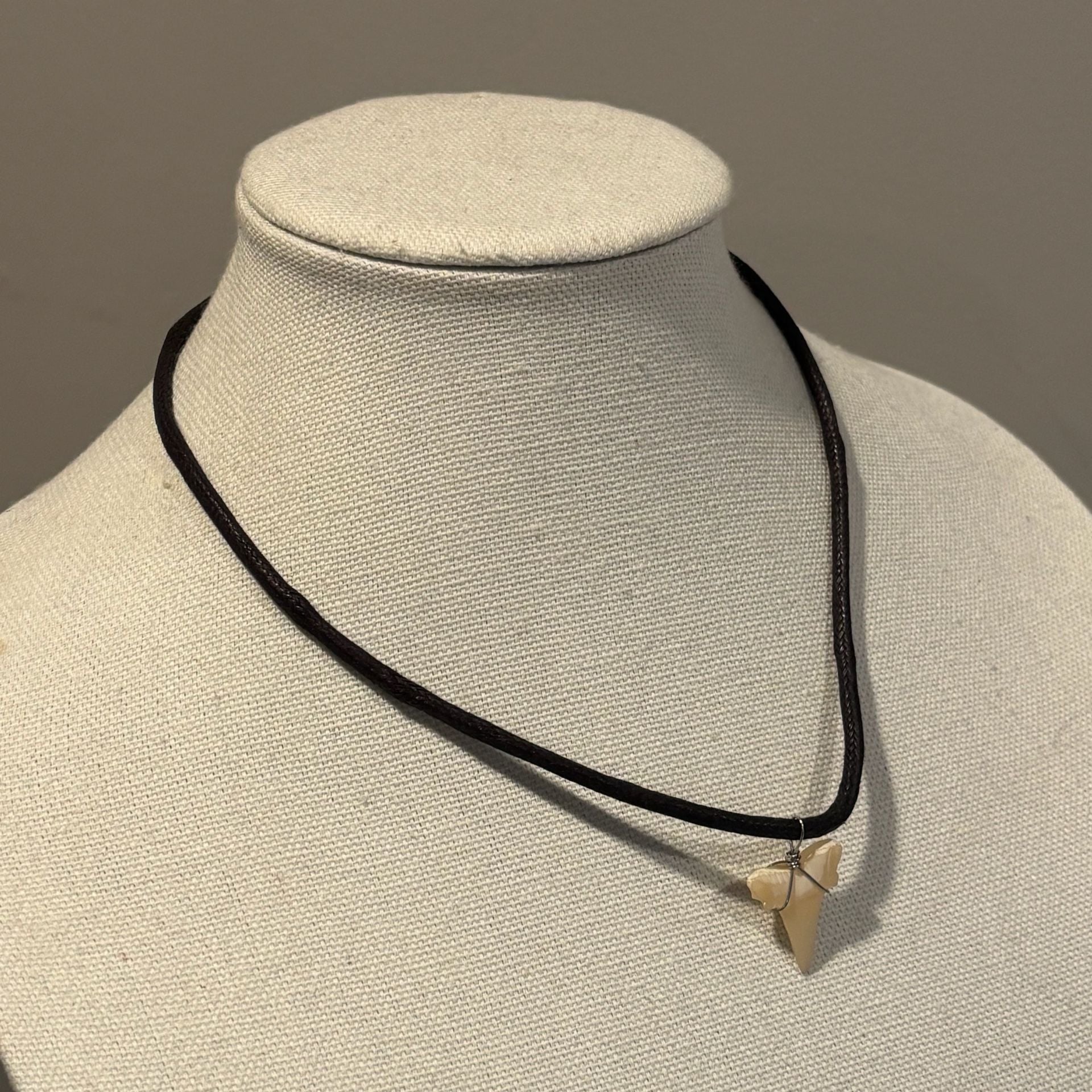 Baja Billy's Shark Tooth Leather Necklace 5