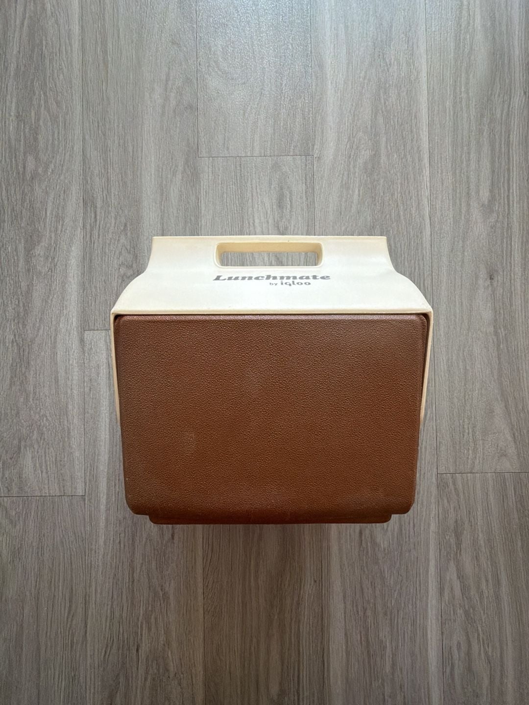 Igloo Lunchmate Lunch Box Cooler Brown Tan Vintage 1