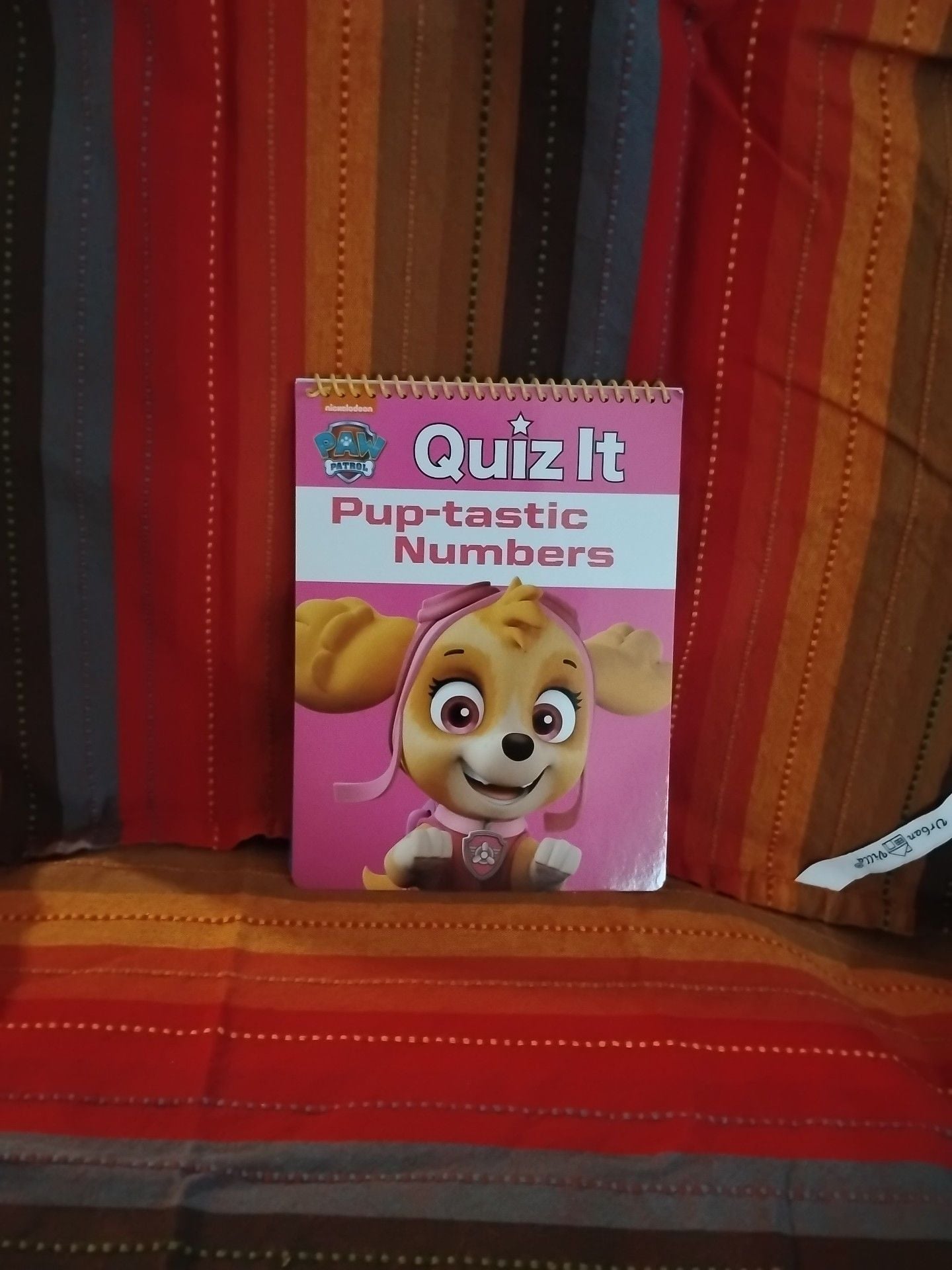 PAW Patrol Quiz It Electronic Smart Pen and 4-Book Learning Set 2