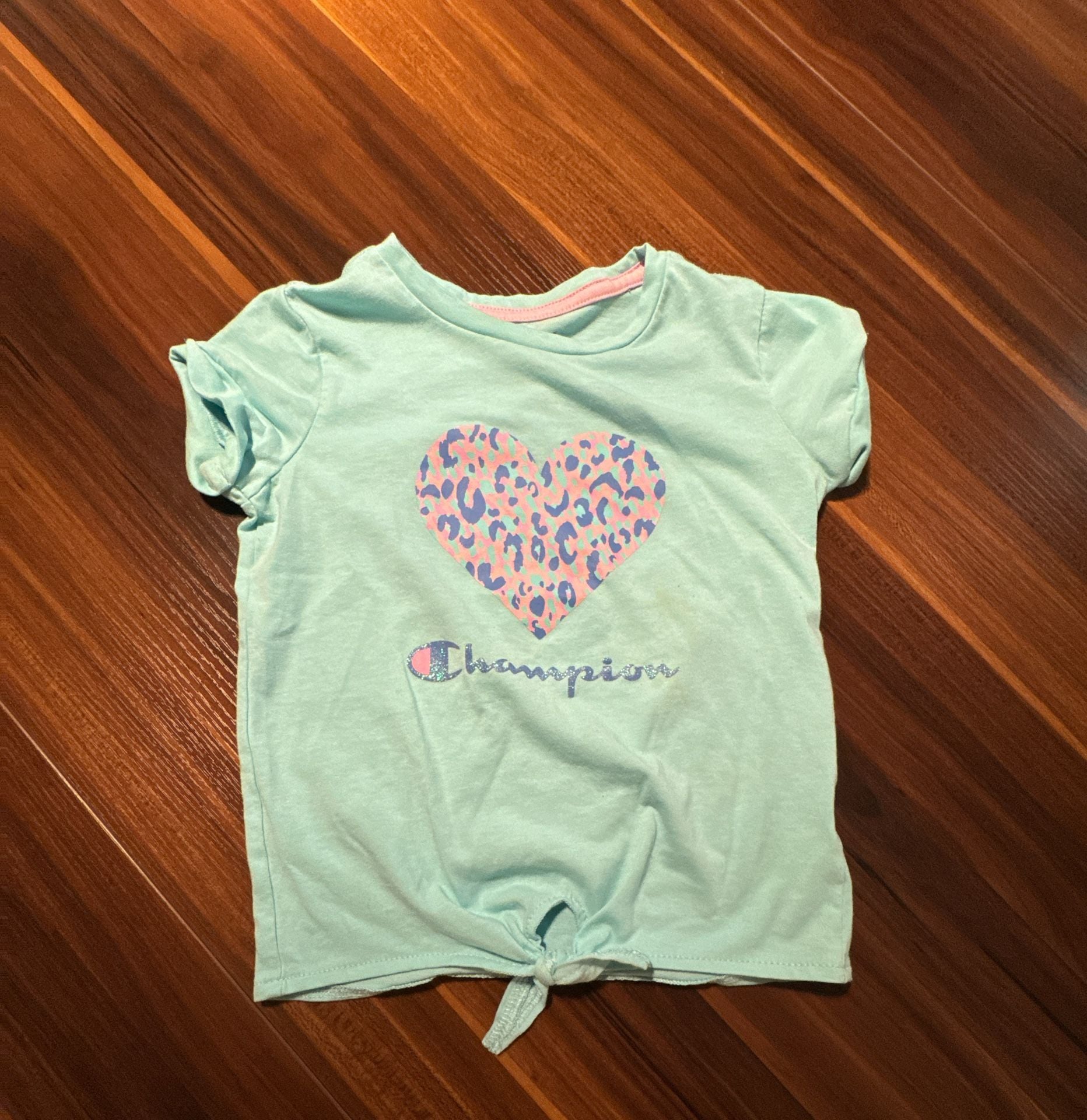 4T Short Sleeve Graphic T-Shirt bundle 6