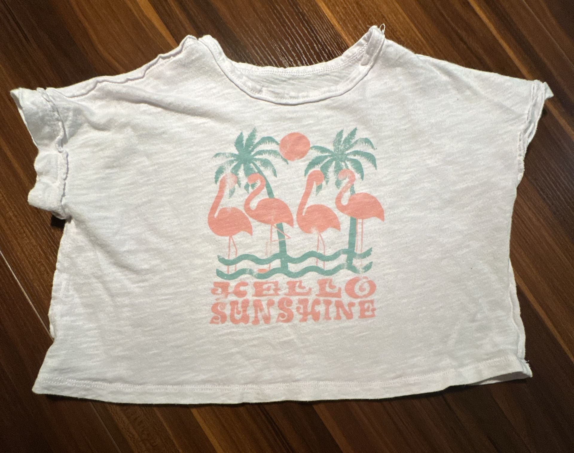 4T Short Sleeve Graphic T-Shirt bundle 8