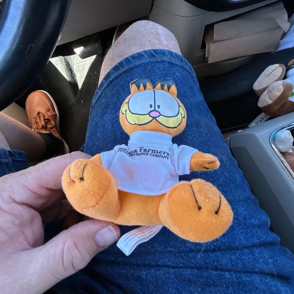 Garfield Plush Stuffed Animal Indiana Farmers Insurance