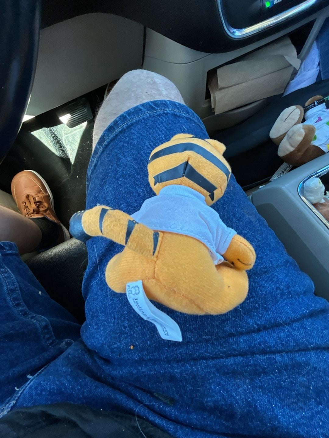 Garfield Plush Stuffed Animal Indiana Farmers Insurance 2