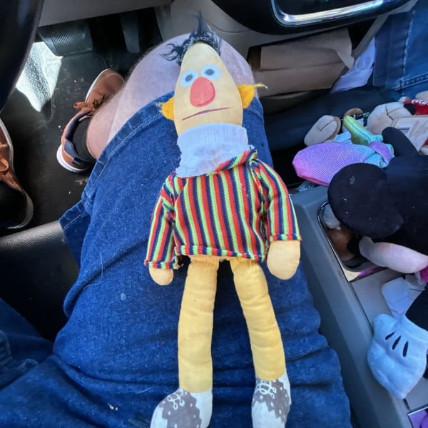 10" Vintage Knickerbocker Bert Plush Sesame