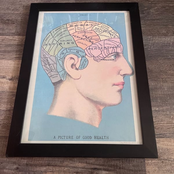 Cavallini & Co. Phrenology Poster Framed Art Print