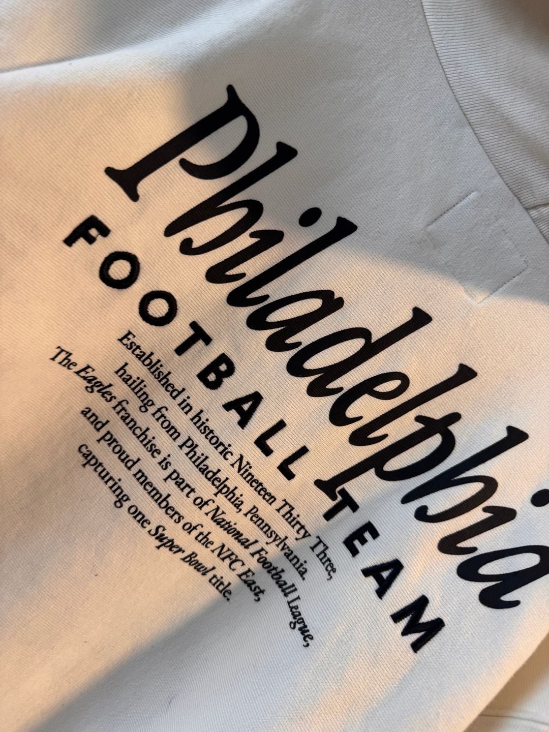 '47 Brand Philadelphia Eagles Hoodie NWOT 6