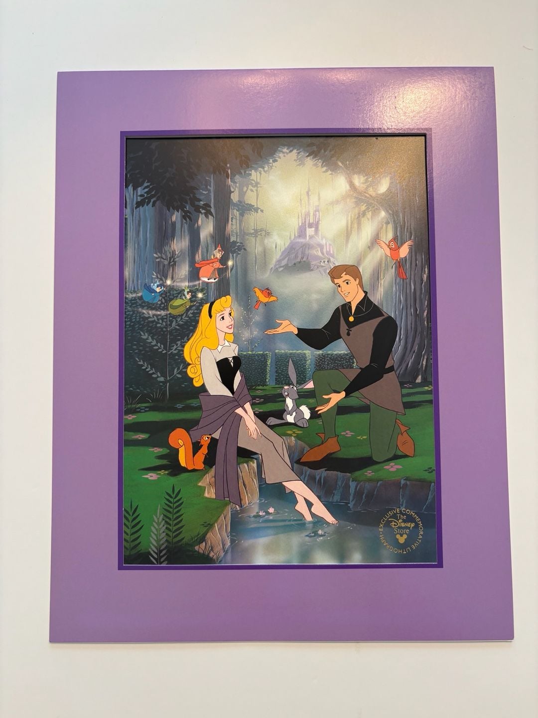 Disney Store Sleeping Beauty Commemorative Lithograph 1