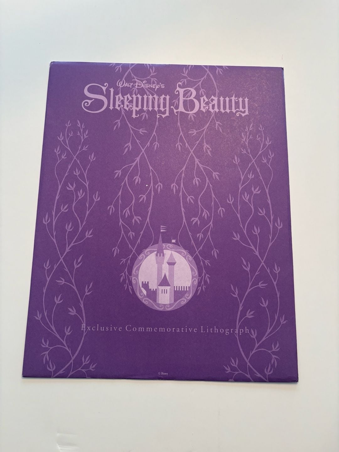 Disney Store Sleeping Beauty Commemorative Lithograph 2