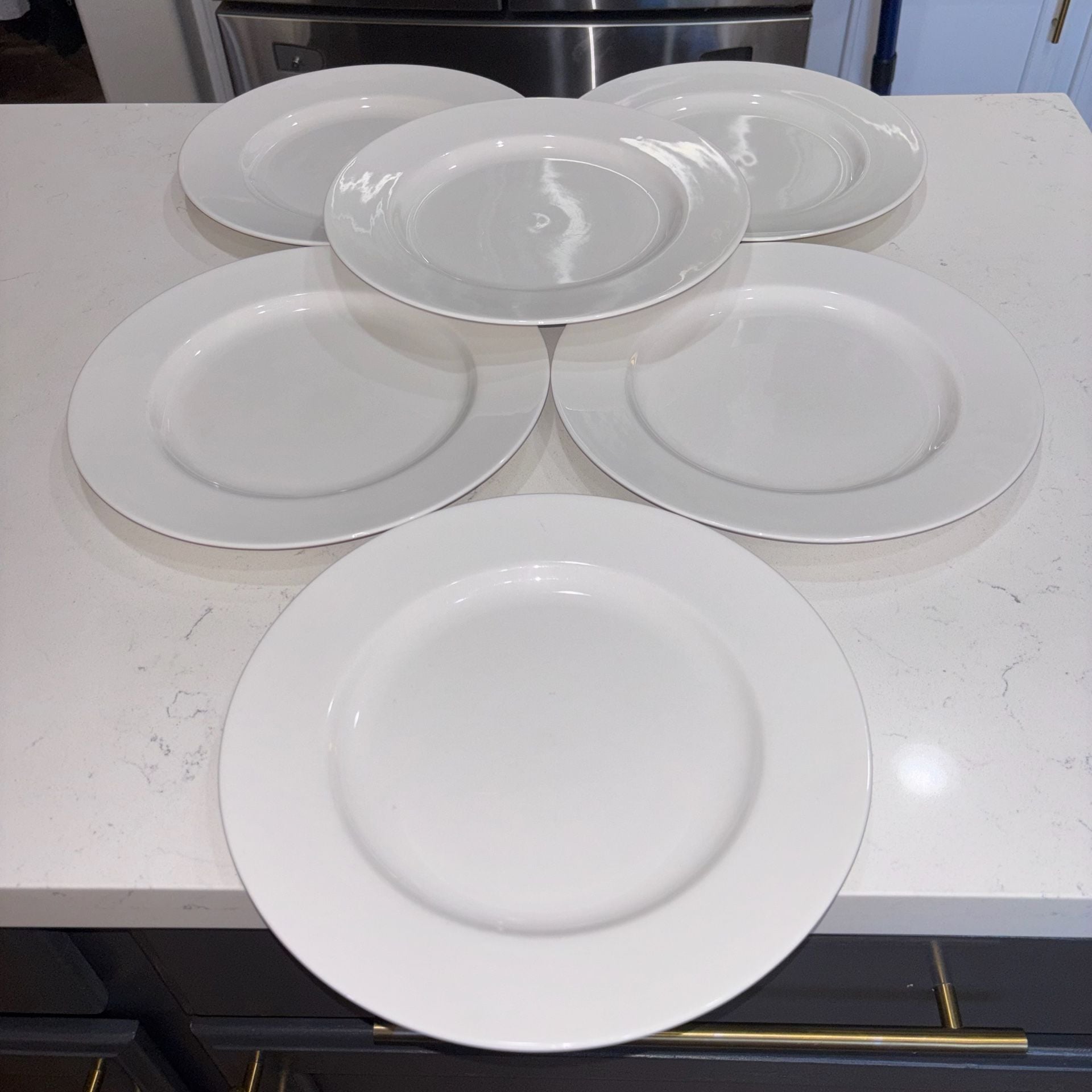 Pier 1 New Essentials Classic White Porcelain Dinner Plates (6) 8