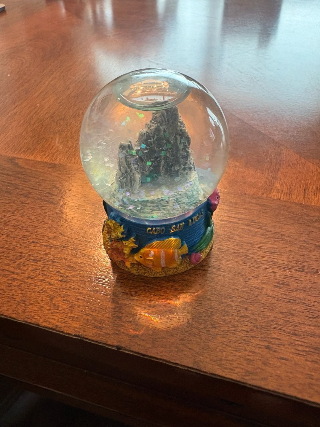 Cabo San Lucas Souvenir Snow Globe Tropical Fish Beach Decor 1