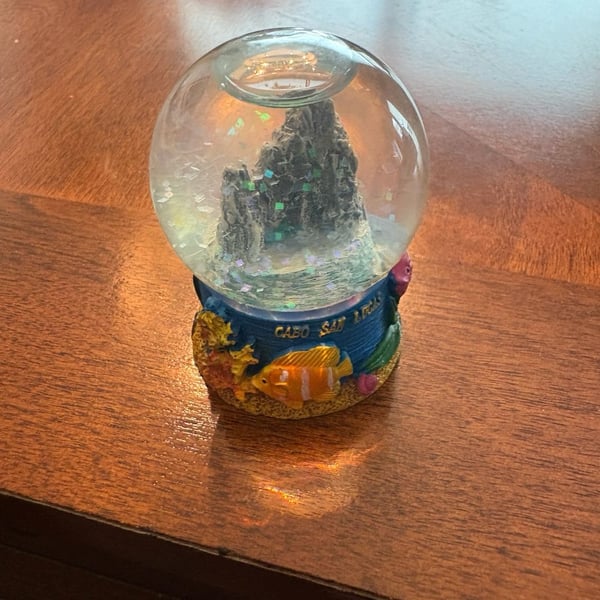 Cabo San Lucas Souvenir Snow Globe Tropical Fish Beach Decor