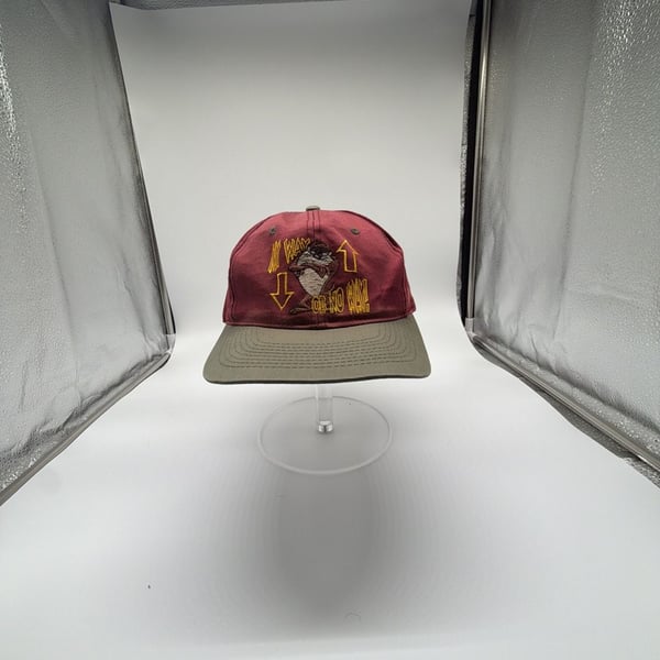 Looney Tunes Taz Tasmanian Devil Snapback Hat Red Green Vintage