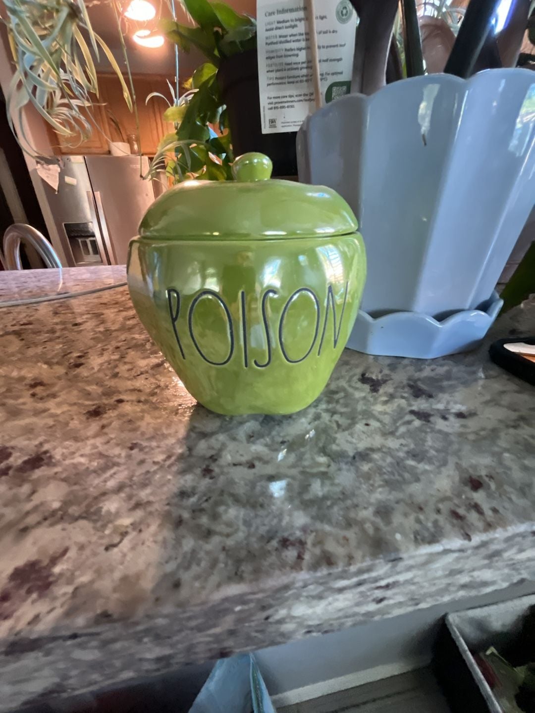 DW Home x Magenta Poison Candy Apple Scented Candle 1