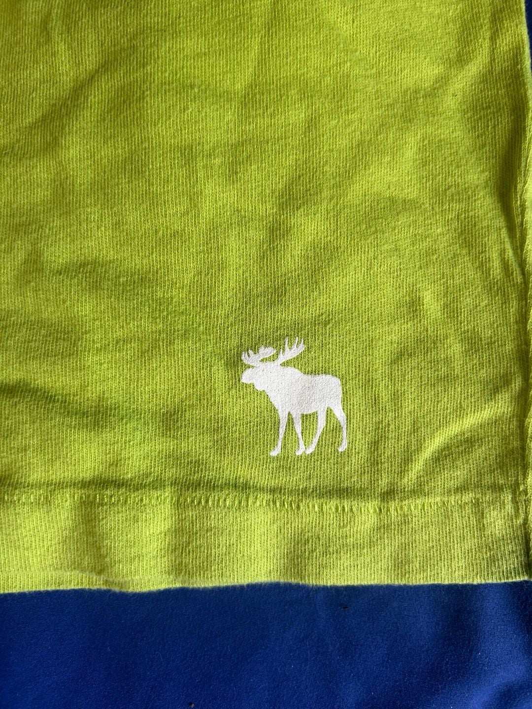 Vintage Abercrombie And Fitch Graphic T-Shirt XX-Large Lime Green Logo 4
