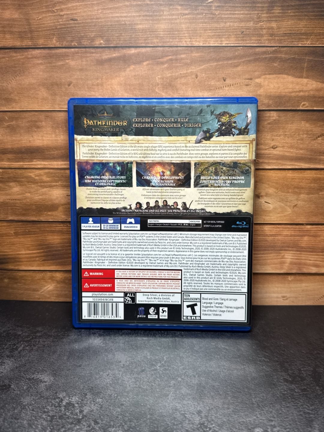 Pathfinder Kingmaker Definitive Edition PS4 Game 2