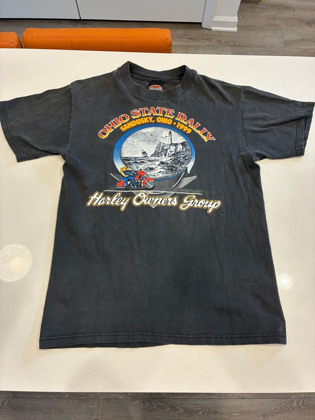 Harley Davidson Ohio State Rally Sandusky 1999 VTG X-large - , 2