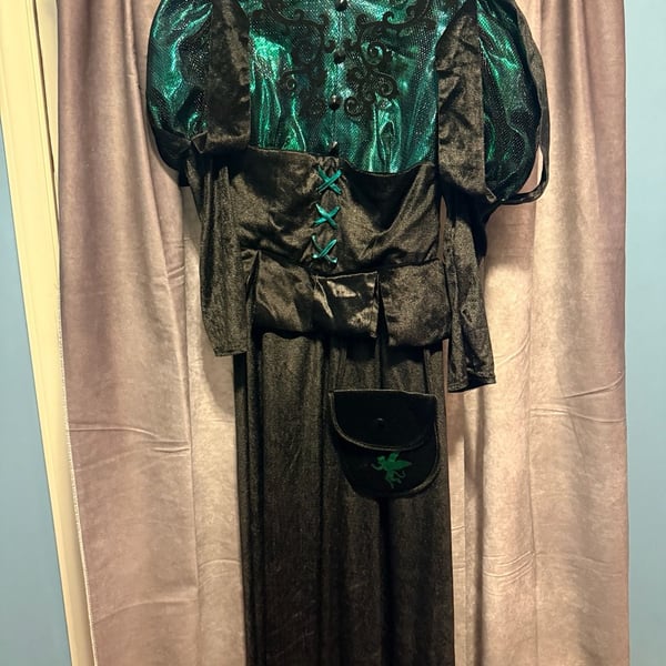 Rubies Wizard Of Oz Elphaba Wicked Witch Costume Size Medium