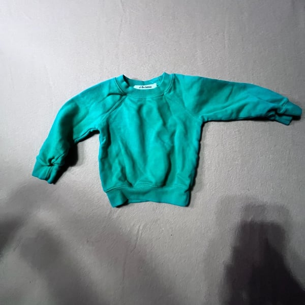 All The Babies Crewneck Sweatshirt Size 3-6M Green Organic Cotton